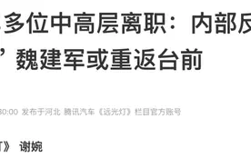 长城汽车被曝多位中高层离职：内部反腐引发“大换血”？图片
