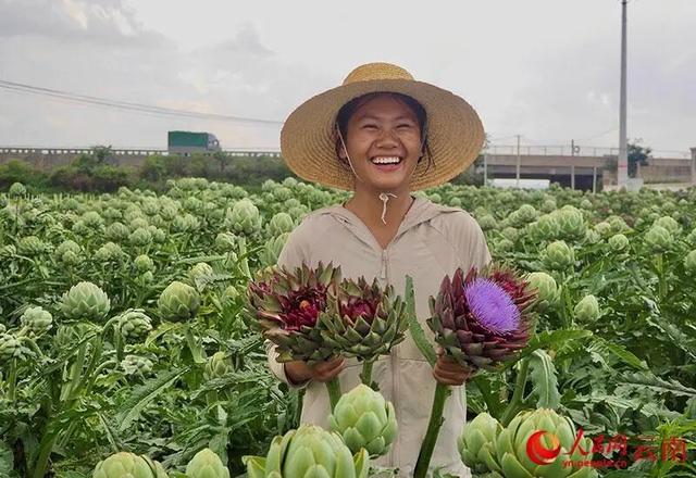 繁制全国6成蔬菜种子！为什么这里租金5000元/亩菜农也愿来种菜？
