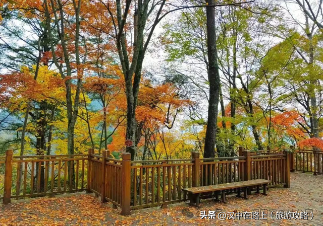 国庆与中秋节陕西五龙洞国家森林公园优惠多多，秋景惊彩呈现！