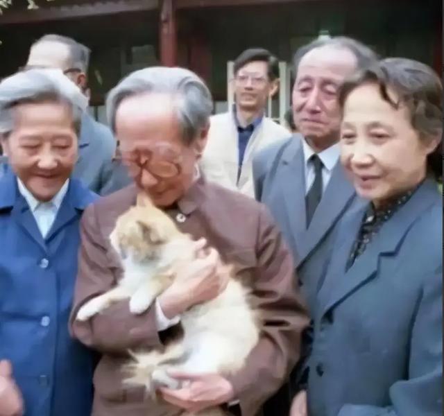 大清亡后，格格们都嫁给了谁？好几位大明星，其实都是皇室后裔