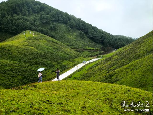 昆明有个阿勒泰