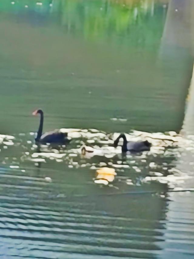 徒步穿越西流湖，赏秋正当时