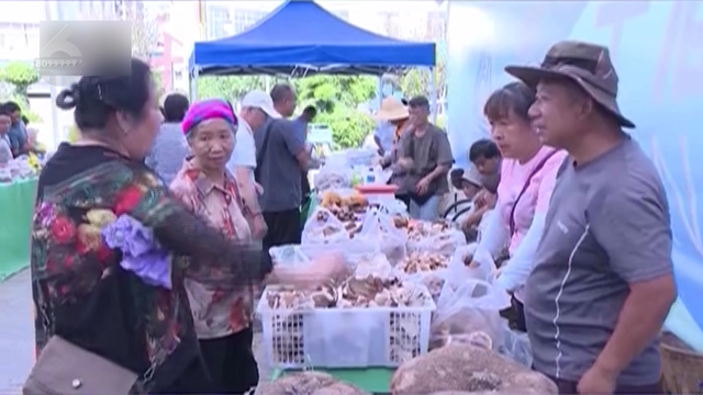 走，这个周末坐公交去易门吃菌啰~