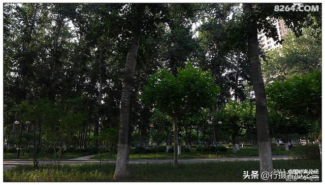 山东行游影记（17）—济南山东大学（四）