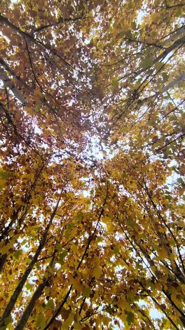 这么近那么美~猜猜这是哪？