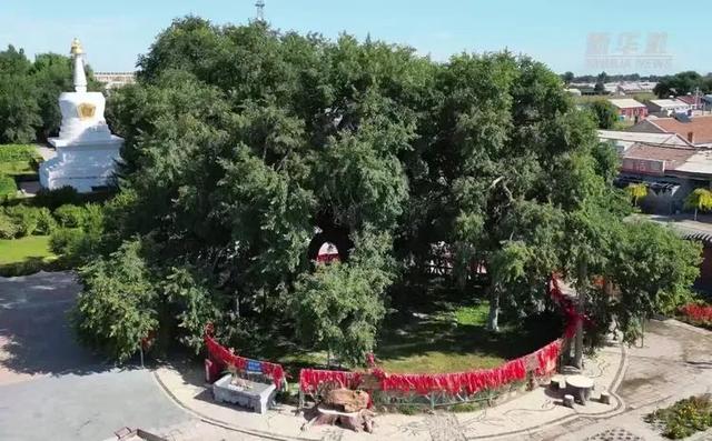 科尔沁草原纪行