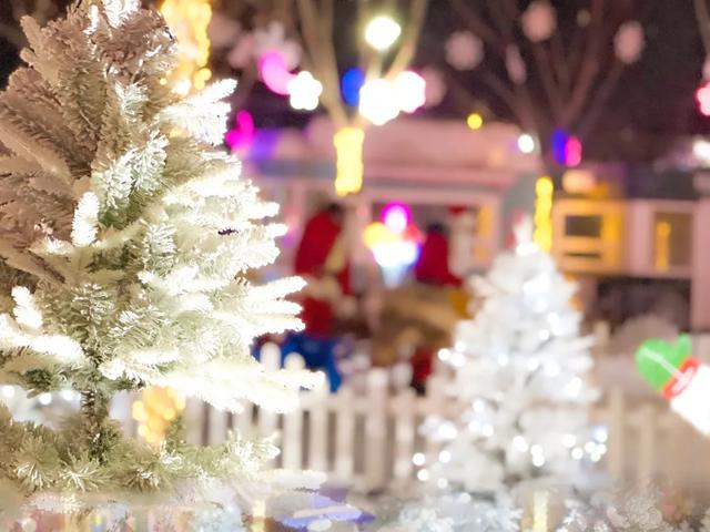 早鸟票开抢!超高颜值NPC来袭,99元起玩转冰雪音乐新年季!