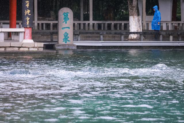 济南赏泉正当时