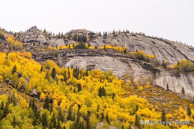 我的阿勒泰之旅（4） 可可托海
