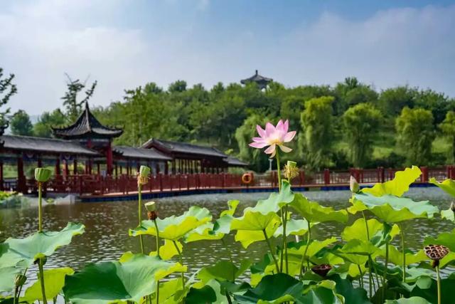 喜报！西河镇镶月湖、梨峪口景区成功获评国家2A级旅游景区！