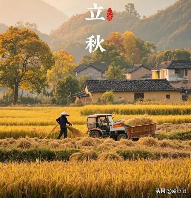 “早立秋把扇丢，晚立秋热不休”，8月7立秋，属于啥秋？有啥讲究