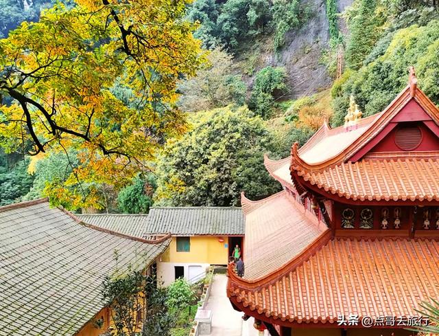 成都严重被低估的彩林徒步线路，1天轻松往返，山野壮观绚丽！