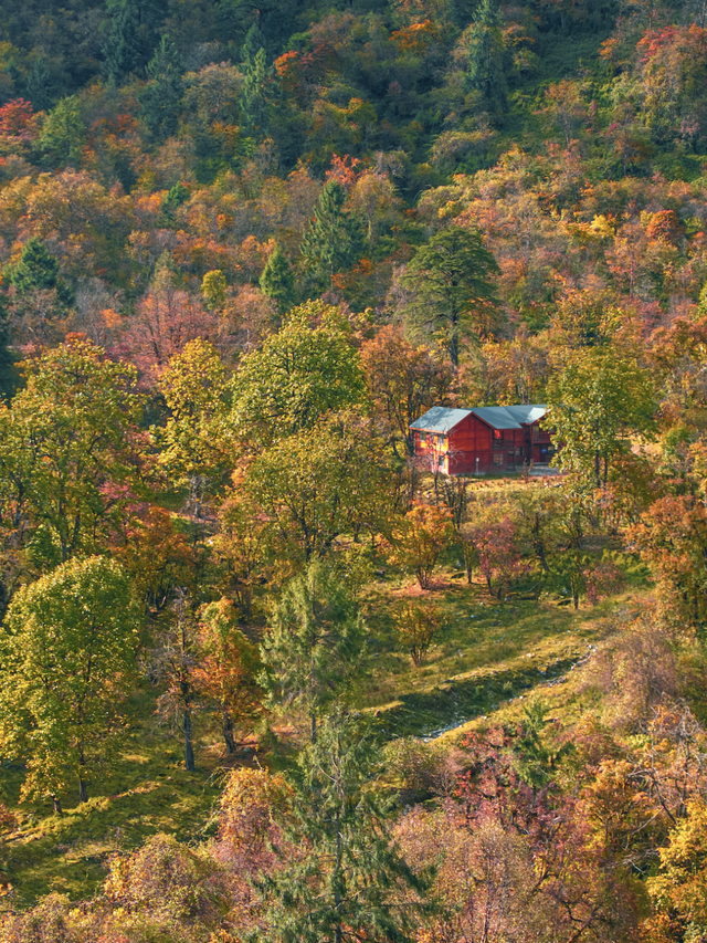喇叭河五彩斑斓的秋天，就这样闯闯闯入视野！
