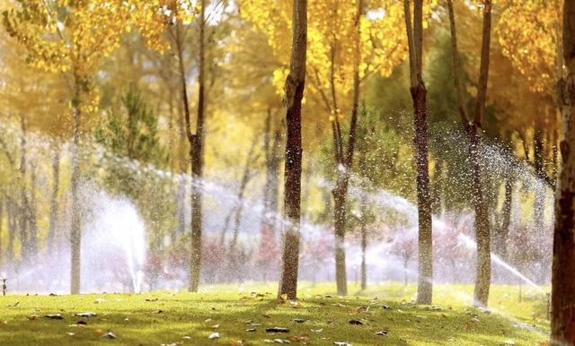 公园秋景：层林尽染 景致似锦如画