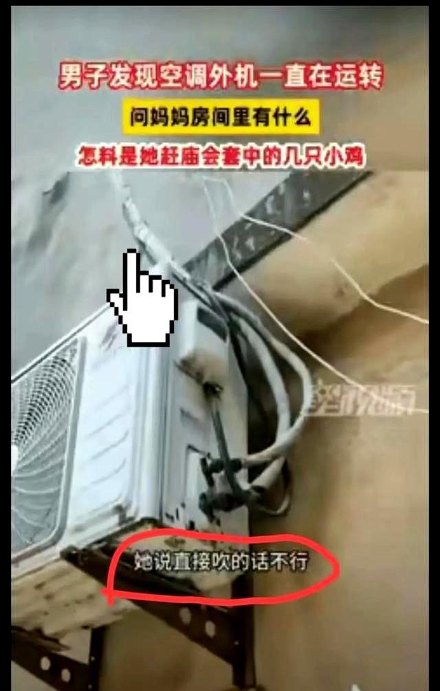 有钱就是任性。安徽一女子因天气热，担心楼上养的四季小鸡被热死