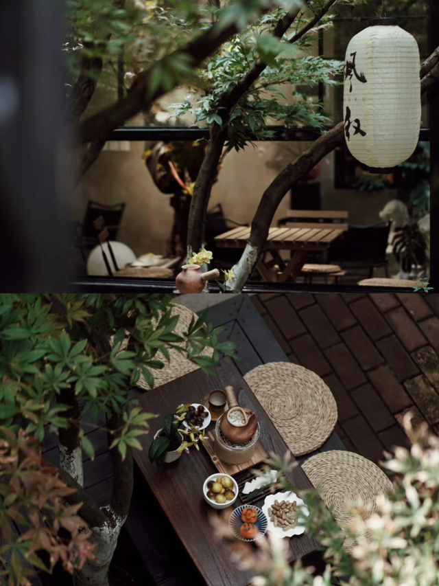 昆明秋日宝藏公园，每一个都“美到心巴”！