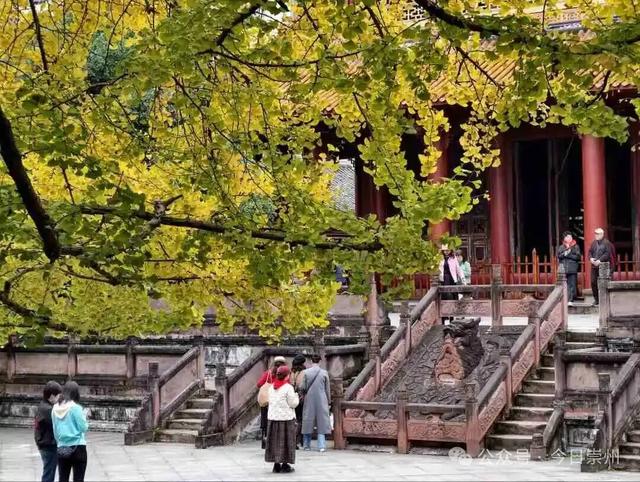 开始刷屏！🤩🤩 崇州罨画池迎来颜值巅峰