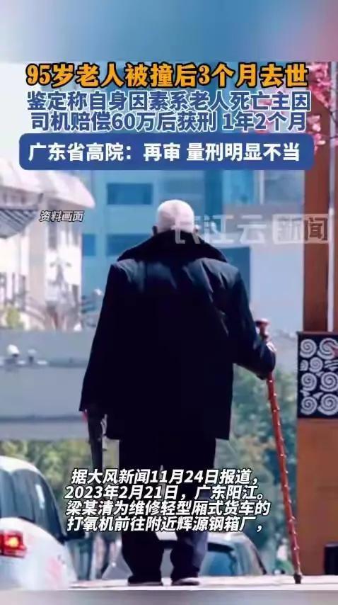 95岁老人被撞后3个月去世，司机赔偿60万还获刑1年2个月，法院：量刑不当，要再审！
