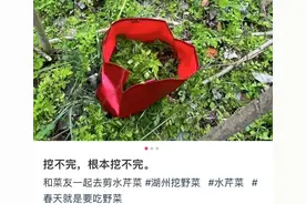 不要碰！不要吃！紧急提醒图片