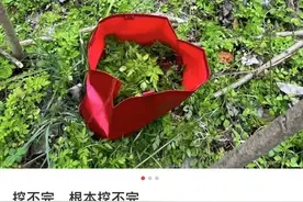 不要碰！不要吃！紧急提醒图片
