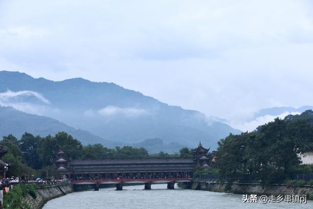 都江堰没看到“蓝眼泪”，只有“绿眼泪”