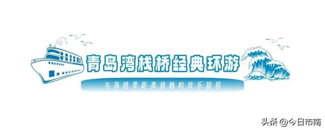 冬日限定浪漫！跟着蒋欣去海上喂海鸥！