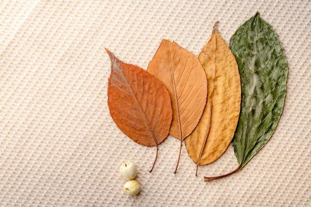 孕妇千万不要吃银耳 孕妇不能吃银耳汤吗