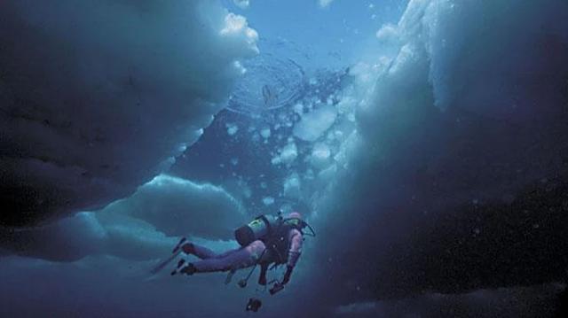 日本十大潜水圣地:潜点特色与难易度总整理