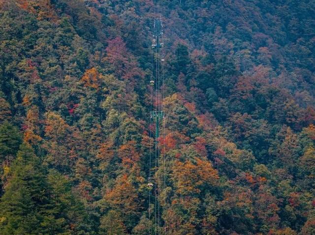 梵净山秋色私藏指南：在云端，邂逅一场秋天的顶级浪漫