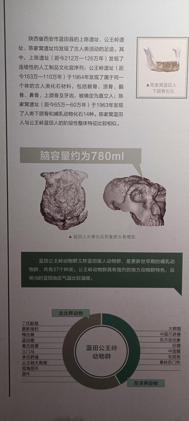 那么近，那么美，周末到商洛了——大美商洛秦岭博物馆