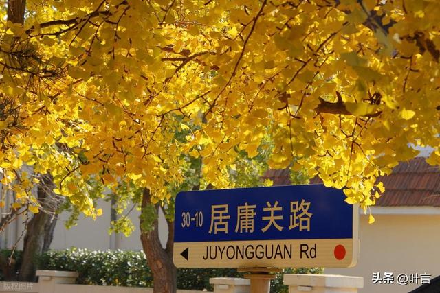 话青岛：海滨城市的美，不需刻意邂逅，面朝大海，转角皆是风景