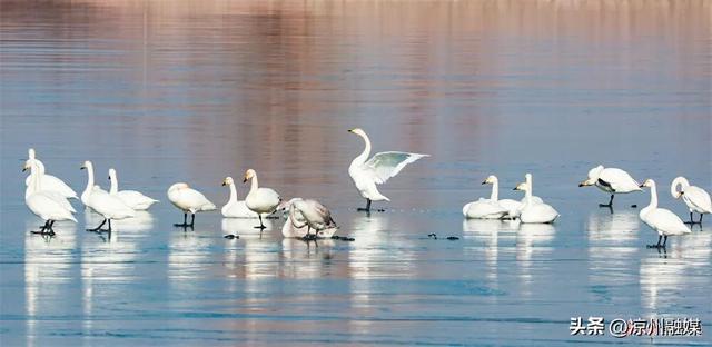 被甘肃“暖”到了！