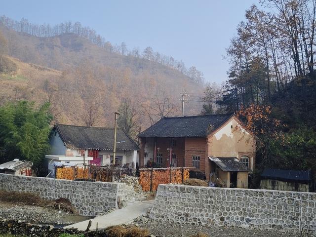 南行漫记：从卢氏走陕西S101红叶大道到南五台服务区露营