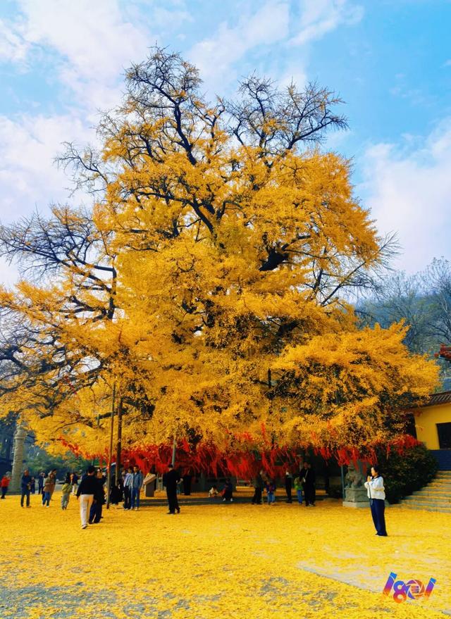 顶流“约会”，主角2500岁 ！潍坊安丘城顶山！