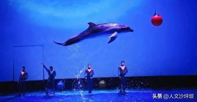 等你解锁！沙坪坝“隐藏副本”开启！