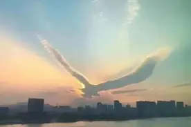 "三鸟进宅门，不富也添喜"是指哪三种鸟？这是什么意思？图片