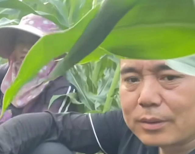 泪目！河北两夫妻夜晚田里浇地，休息时妻子突然发现丈夫不见了！