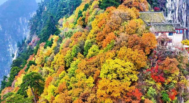 还能去哪儿赏最后一波秋色……