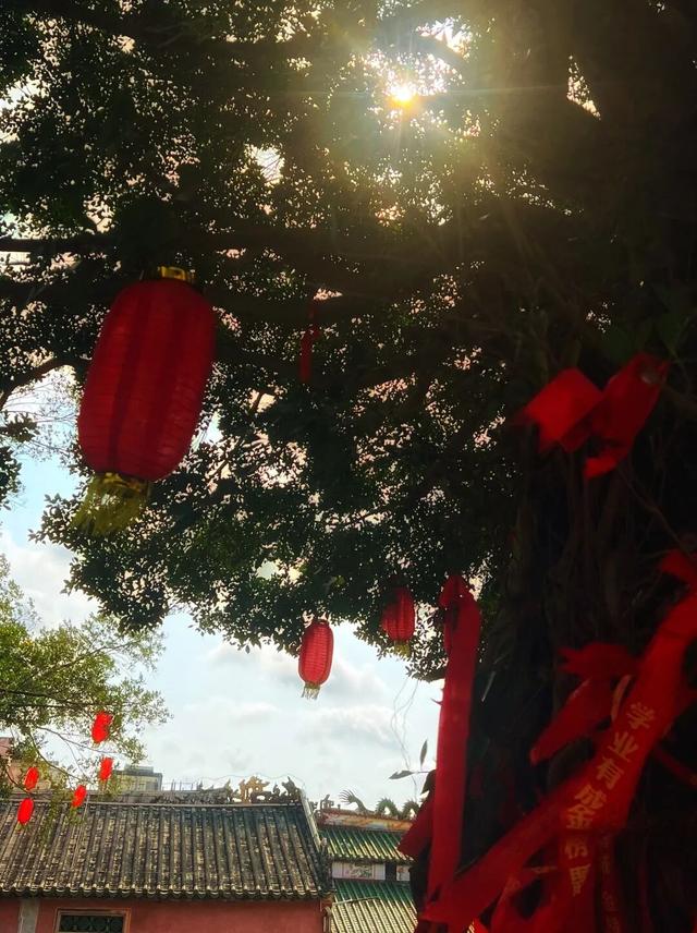 暖冬“趣”圣，文昌孔庙文创上新啦！快来和Q版孔夫子晒个太阳