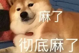 分享一些神级反转的沙雕笑话图片