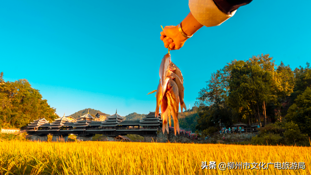 你没眼花！现在给你的是《2026放假安排（柳州版）》！速转存了解！