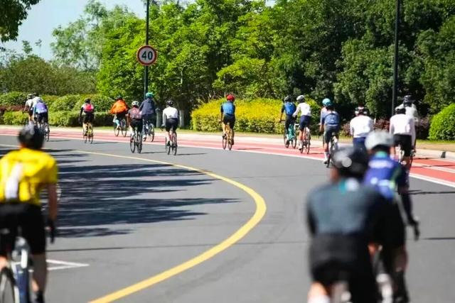 “红房子”，刷屏了！