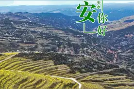 【问候海报】4月3日丨最美四月天，连翘金黄开满山图片