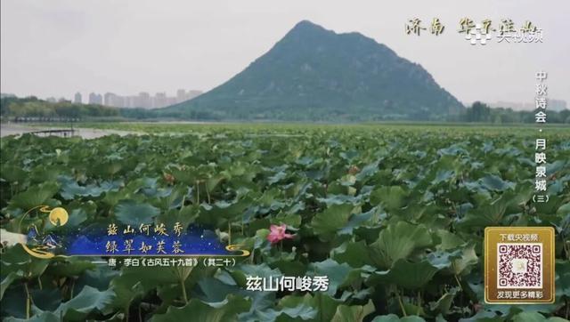 连续三天！大美济南在央视《2025中秋诗会》中熠熠生辉！
