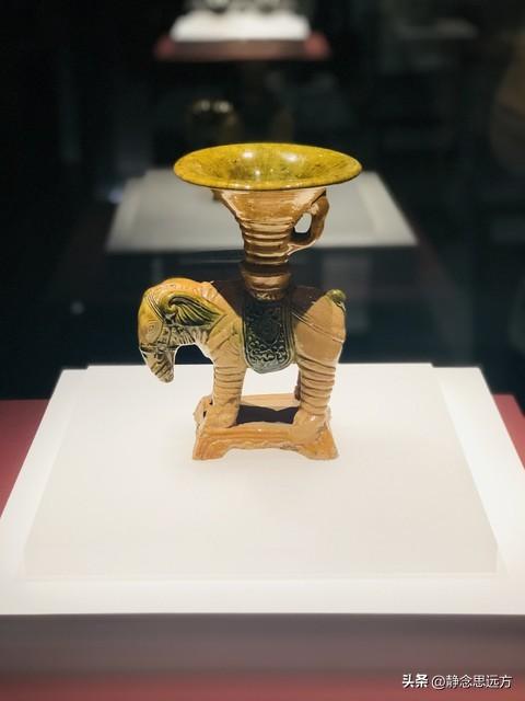 河南人去了滨州和淄博，直言不讳：滨州和淄博生活方式截然不同！