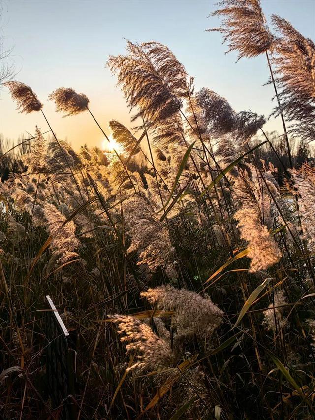 用电影的方式“打开”初冬！每一帧，都浪漫