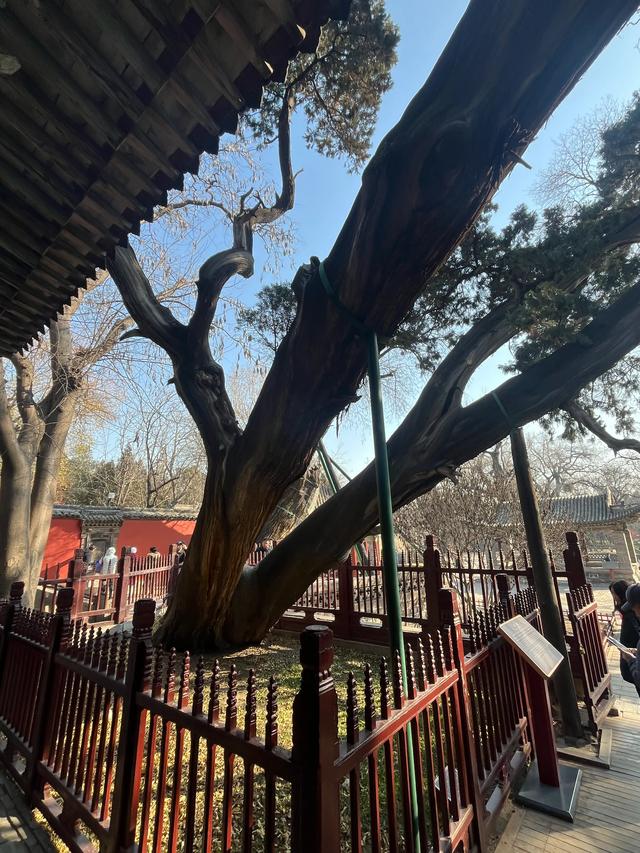 山西全境自驾游（十二天）：太原晋祠