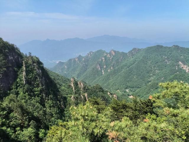 杨建民：相聚西峡 战友情深（三）