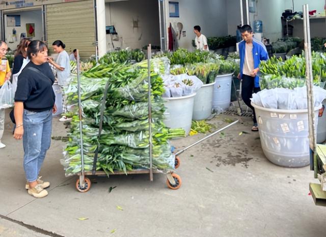 大家提前做好准备：不出意外，国庆以后，国内将迎来3大变化