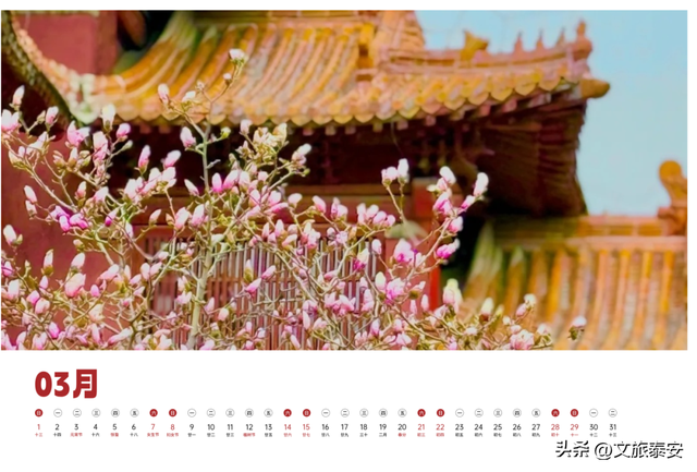 泰安文旅版日历上新~四季美景全收藏，是礼物，更是请柬→